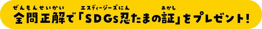 全問正解で「SDGs忍たまの証」をプレゼント！